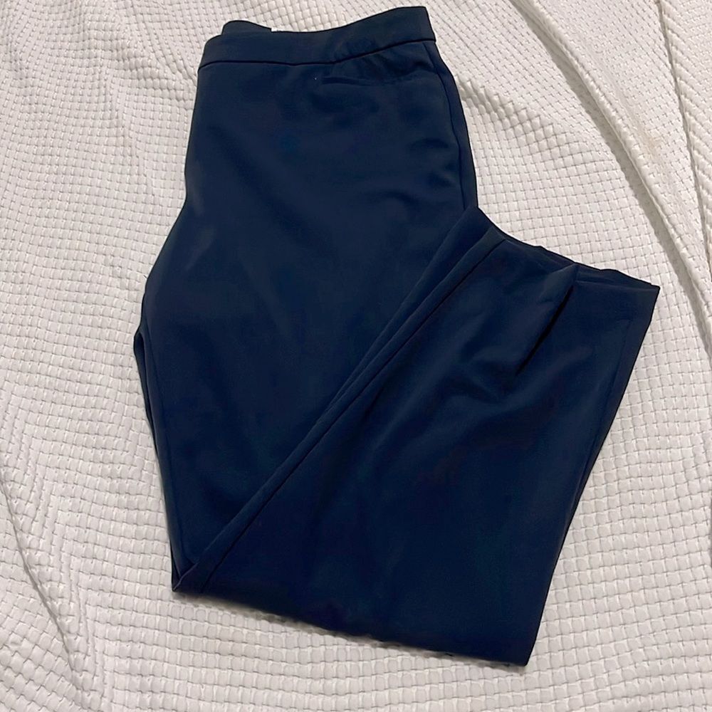NWT- Alfani - 14P & 16s. Straight Leg